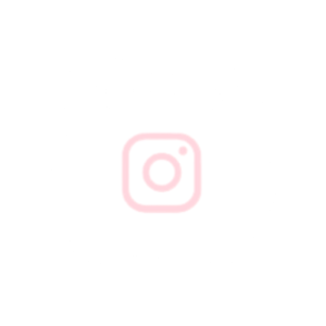 icon instagram